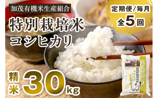 【令和6年産新米先行予約】【定期便5ヶ月毎月お届け】新潟県加茂市産 特別栽培米コシヒカリ 精米30kg（5kg×6） 白米 従来品種コシヒカリ 加茂有機米生産組合