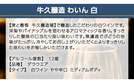 『 牛久醸造 わいん 』 山形デラウエア × 1本 茨城県産 牛久醸造場 日本ワイン ワイン 白ワイン 750ml お酒 贈り物 完熟 葡萄 ぶどう 洋梨 パイナップル 酸味