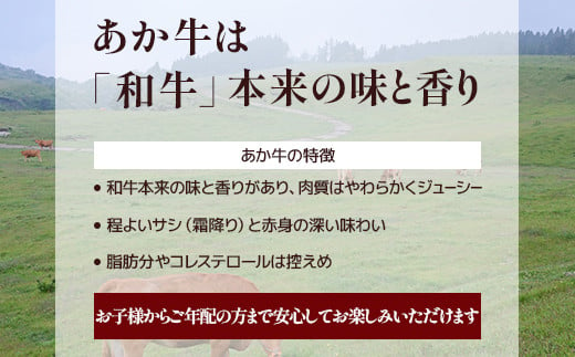 熊本あか牛の白ホルモン、是非ご賞味ください。