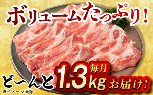 【月1回約1.3kg×6回定期便】大西海SPF豚 肩ロース（しゃぶしゃぶ用）計7.8kg 長崎県/長崎県農協直販 [42ZZAA062] 肉 豚 ぶた ブタ ロース 鍋 しゃぶしゃぶ 小分け 西海市 長崎 九州