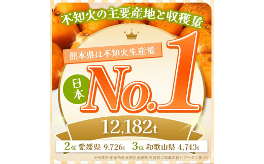 【先行予約】【訳あり】ご家庭用 不知火 5kg | 熊本県 熊本 くまもと 和水町 なごみ 柑橘 柑橘類 訳あり 果物 フルーツ 季節の果物