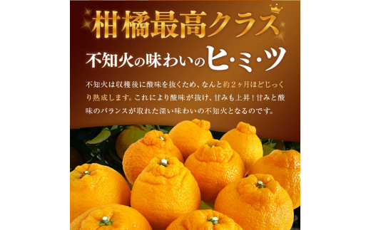 【先行予約】【訳あり】ご家庭用 不知火 5kg | 熊本県 熊本 くまもと 和水町 なごみ 柑橘 柑橘類 訳あり 果物 フルーツ 季節の果物