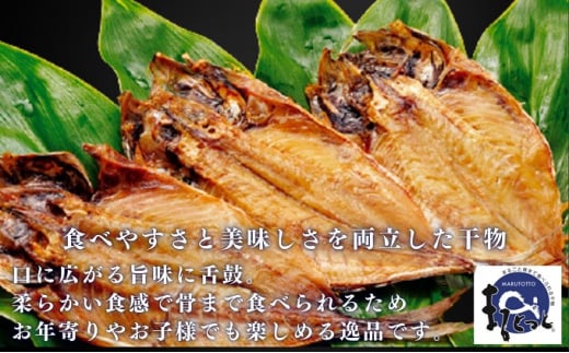 骨までおいしい干物「まるとっと」豪華Cセット [№5303-0176]