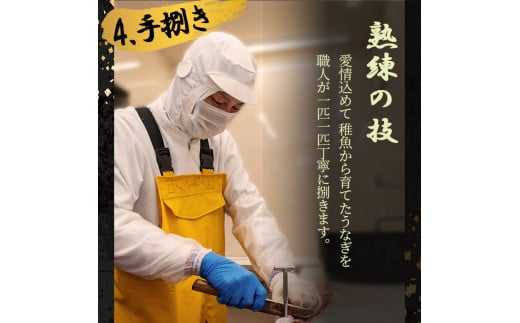 桜林養鰻のうなぎ蒲焼 計200g以上(100g以上×2尾) a3-195