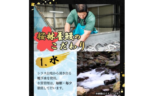 桜林養鰻のうなぎ蒲焼 計200g以上(100g以上×2尾) a3-195