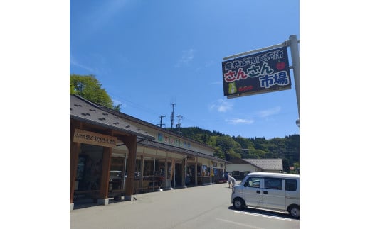 408＊さんさん市場　やさい名人がチョイスする新鮮季節の野菜2回セット