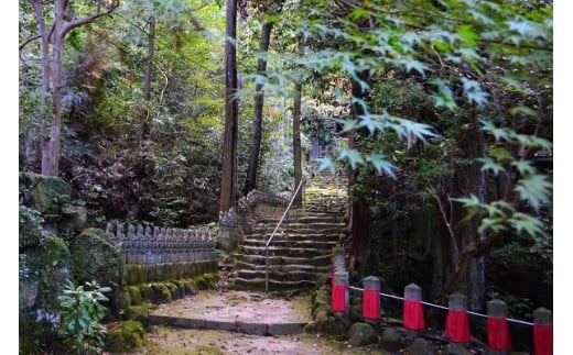 お寺に泊まってみませんか？「千光寺」宿坊体験(お２人様用)  | 1泊2食付  座禅 写経 修行 リフレッシュ 奈良県 平群町