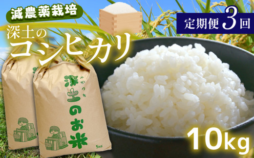 定期便3回 深土の特別米コシヒカリ 10kg×3(2ヶ月毎×3回) ｜ 有機肥料 減農薬 米 精米 コシヒカリ 美祢市 山口県 美祢 秋吉台 定期便 10kg