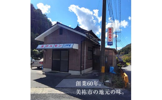 特製ダレ漬け 牛生ホルモン 1kg | ホルモン もつ鍋 鍋 焼肉 肉 にく 牛 牛肉 牛生 バーベキュー モツ ホルモン 焼き 小腸 特製ダレ 味付き 名物 ソウルフード 美祢市 山口県 美祢 1kg