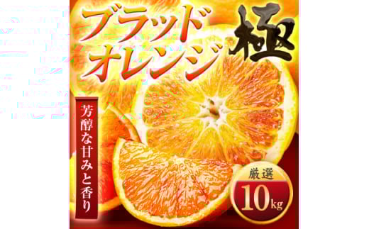 ブラッド オレンジ タロッコ 5kg 自宅用 愛媛県宇和島産 大きさ