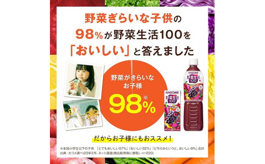 【 定期便 2ヶ月 】 カゴメ 野菜生活100 ベリーサラダ 200ml×48本 ジュース 野菜 果実ミックスジュース 果汁飲料 紙パック 砂糖不使用 1食分の野菜 鉄分 ポリフェノール ビタミンA 飲料類 ドリンク 野菜ドリンク 備蓄 長期保存 防災 飲みもの