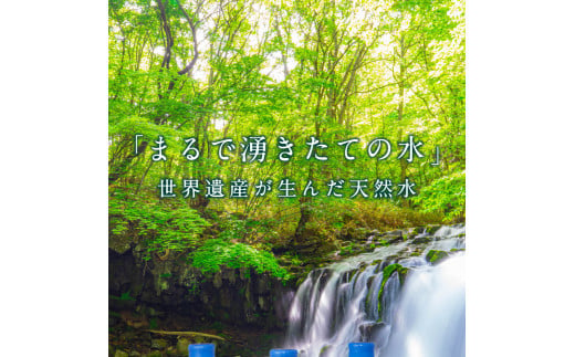 【12ヶ月定期便】富士忍野　Mt．Fuji　Springs　8L×3本　12ヶ月コース（ウォーターサーバーレンタル無料）※沖縄県、離島不可