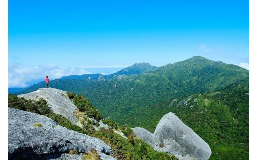 【屋久島町】JTBふるさと旅行クーポン（Eメール発行）（3,000円分）| 宿泊券 宿泊 旅行券 観光 旅行 ホテル クーポン チケット トラベルクーポン トラベル 屋久島 人気 おすすめ 鹿児島県 屋久島町 JTBW003T