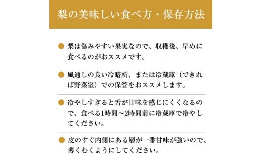 【先行予約】【2024年10月中旬より順次発送】 山之上 梨 １箱 新高 3.5kg程度 | 丸坂山田農園 なし にいたか M11S70