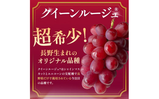 シャインマスカット＆クイーンルージュ® 長野県産 各1房 2房入り 約1kg ぶどう｜果物 フルーツ ぶどう 葡萄 ブドウ 白ぶどう マスカット シャイン マスカット 赤ぶどう マスカット クイーンルージュ®  希少 品種  種無し 種なし 皮ごと 詰め合わせ  信州 特産品 千曲市 長野県 食べ比べ セット