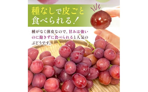 シャインマスカット＆クイーンルージュ® 長野県産 各1房 2房入り 約1kg ぶどう｜果物 フルーツ ぶどう 葡萄 ブドウ 白ぶどう マスカット シャイン マスカット 赤ぶどう マスカット クイーンルージュ®  希少 品種  種無し 種なし 皮ごと 詰め合わせ  信州 特産品 千曲市 長野県 食べ比べ セット