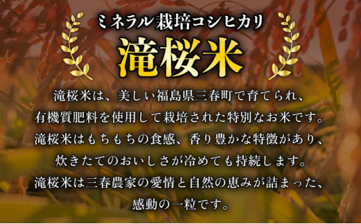 【6ヶ月定期便】ミネラル栽培コシヒカリ滝桜米 計30kg 【5kg×6袋 ご飯 ごはん 米 こめ お米 弁当 白米 国産米 銘柄米 ブランド米 おにぎり 国産 全6回 お届け】　【07521-0078】