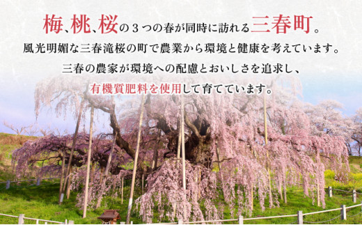 【6ヶ月定期便】ミネラル栽培コシヒカリ滝桜米 計30kg 【5kg×6袋 ご飯 ごはん 米 こめ お米 弁当 白米 国産米 銘柄米 ブランド米 おにぎり 国産 全6回 お届け】　【07521-0078】