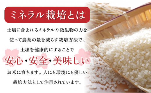 【6ヶ月定期便】ミネラル栽培コシヒカリ滝桜米 計30kg 【5kg×6袋 ご飯 ごはん 米 こめ お米 弁当 白米 国産米 銘柄米 ブランド米 おにぎり 国産 全6回 お届け】　【07521-0078】