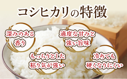 【6ヶ月定期便】ミネラル栽培コシヒカリ滝桜米 計30kg 【5kg×6袋 ご飯 ごはん 米 こめ お米 弁当 白米 国産米 銘柄米 ブランド米 おにぎり 国産 全6回 お届け】　【07521-0078】