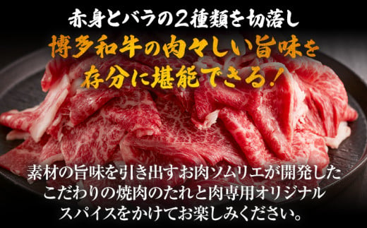 【厳選肉専門店 ふじ匠】 博多和牛 博多和牛切落し ミックス（お肉ソムリエ開発焼肉のたれ＆肉専用スパイス2種付）肉 牛肉 博多和牛 もも肉 ウデ肉 タレ 福岡 グルメ 贈り物 冷凍 ギフト 柔らかい