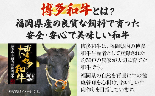 【厳選肉専門店 ふじ匠】 博多和牛 博多和牛切落し ミックス（お肉ソムリエ開発焼肉のたれ＆肉専用スパイス2種付）肉 牛肉 博多和牛 もも肉 ウデ肉 タレ 福岡 グルメ 贈り物 冷凍 ギフト 柔らかい