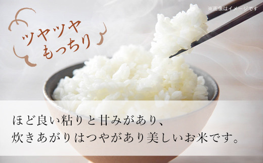 【令和6年産 新米】北海道厚沢部産ななつぼし60kg（5kg×12ヶ月連続お届け） 【 ふるさと納税 人気 おすすめ ランキング 米 ご飯 ごはん 白米 ななつぼし 精米 つや 粘り  北海道 厚沢部 送料無料 】 ASG021