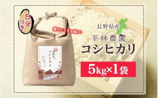 令和6年産 コシヒカリ 5分づき米 5kg×1袋 長野県産 米 お米 ごはん ライス 分つき米 農家直送 産直 信州 人気 ギフト お取り寄せ 平林農園 送料無料 長野県 大町市