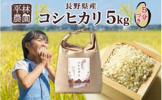 令和6年産 コシヒカリ 5分づき米 5kg×1袋 長野県産 米 お米 ごはん ライス 分つき米 農家直送 産直 信州 人気 ギフト お取り寄せ 平林農園 送料無料 長野県 大町市