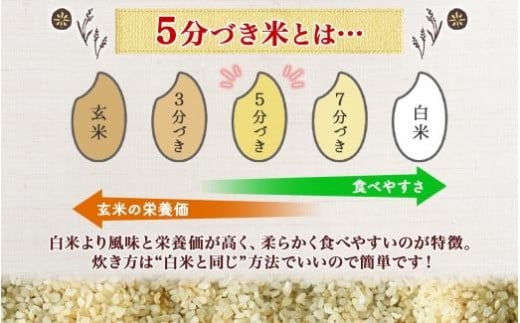 令和6年産 コシヒカリ 5分づき米 5kg×1袋 長野県産 米 お米 ごはん ライス 分つき米 農家直送 産直 信州 人気 ギフト お取り寄せ 平林農園 送料無料 長野県 大町市