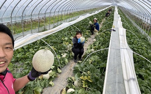 【2025年発送】【中富良野町】寺坂メロン　1玉入り（赤肉特大）