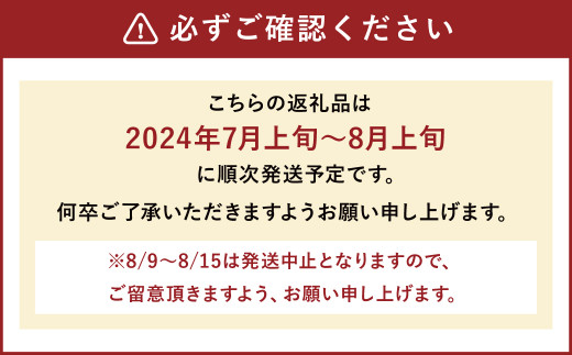 数量限定 幸水梨 9～12玉 なし 梨 福岡県産