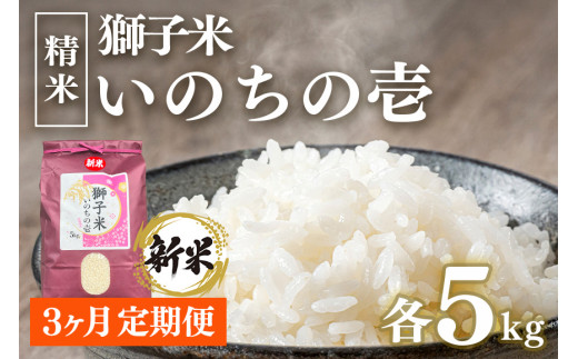 【定期便】獅子米 いのちの壱精米5㎏ × 3か月【令和6年産】