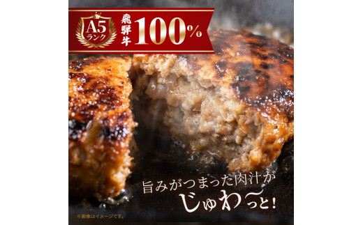 飛騨牛 ハンバーグ ロースバーグ 150g×5枚 計750g  飛騨牛100% 和牛 牛肉 ブランド牛 おかず 惣菜 焼くだけ 簡単調理 BBQ バーベキュー キャンプ アウトドア  炭火