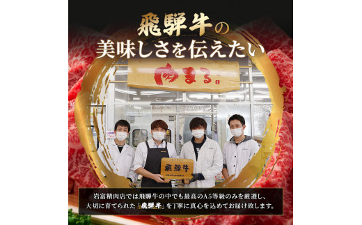 飛騨牛 ハンバーグ ロースバーグ 150g×5枚 計750g  飛騨牛100% 和牛 牛肉 ブランド牛 おかず 惣菜 焼くだけ 簡単調理 BBQ バーベキュー キャンプ アウトドア  炭火