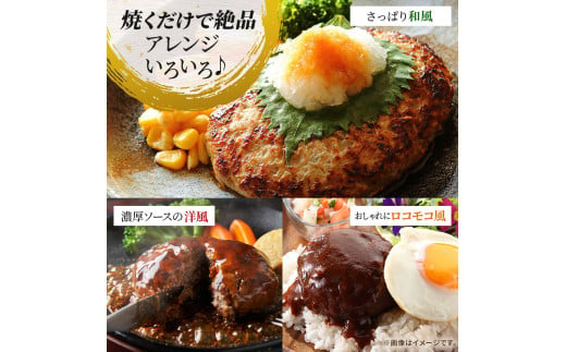 飛騨牛 ハンバーグ ロースバーグ 150g×5枚 計750g  飛騨牛100% 和牛 牛肉 ブランド牛 おかず 惣菜 焼くだけ 簡単調理 BBQ バーベキュー キャンプ アウトドア  炭火