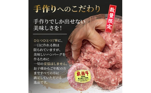 飛騨牛 ハンバーグ ロースバーグ 150g×5枚 計750g  飛騨牛100% 和牛 牛肉 ブランド牛 おかず 惣菜 焼くだけ 簡単調理 BBQ バーベキュー キャンプ アウトドア  炭火