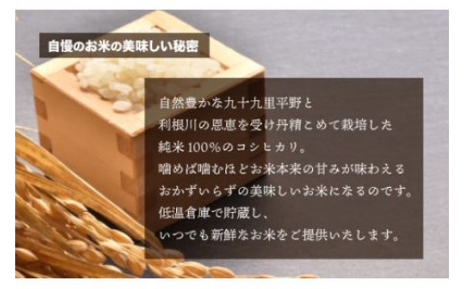 【令和6年産】千葉県 大網白里市産 コシヒカリ 10kg（10kg×1袋） お米 10kg 千葉県産 大網白里市 コシヒカリ 米 精米 こめ 送料無料