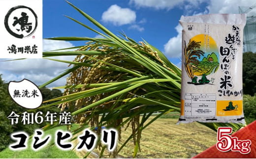 コシヒカリ 乾式無洗米 5kg 令和6年産 [№5346-0383]