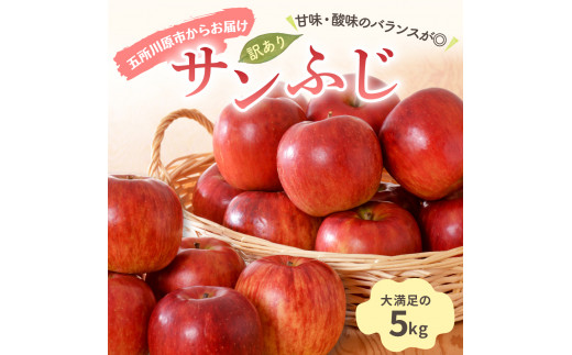 【2025年1月下旬発送】【訳あり】りんご 青森産 約5kg サンふじ