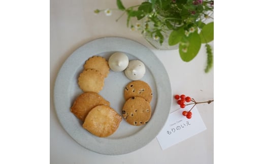 軽井沢高原の森＜Canvas Cookiesもりのいえ＞8種　無添加焼き菓子セット【1128937】