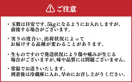 梨 5kg セット 7~10玉 大玉 なし 豊水 ほうすい 緩衝材 キャップ 付き フルーツ 季節 旬の 果物 期間 限定 9月 豊田の梨 豊田町 山口県産 下関 ギフト 贈答 夏 秋