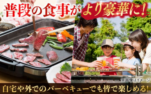 ランプ ステーキ 2枚 300g 長崎和牛【野中精肉店】 [VF03] 肉 牛肉 赤身 希少部位 A4～A5ランク ランプステーキ 焼肉