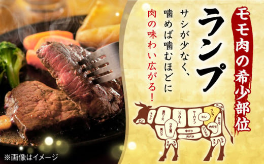 ランプ ステーキ 2枚 300g 長崎和牛【野中精肉店】 [VF03] 肉 牛肉 赤身 希少部位 A4～A5ランク ランプステーキ 焼肉