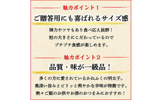 かねふく〈無着色〉辛子明太子 (一本物)170g×1パック [a9092] 藤井乾物店 ※配送不可：離島【返礼品】添田町 ふるさと納税