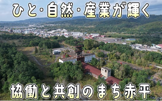 アスパラ 北海道 朝採り 春グリーンアスパラ 約1kg［ほりぐち農園］ ※2025年4月中旬出荷開始先行予約 野菜 アスパラガス グリーンアスパラ 旬 とれたて お取り寄せ 産地直送 生産者直送 