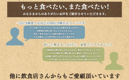 吉野こだわり卵　のざわ卵 32個入り (4コ入×4）×2箱