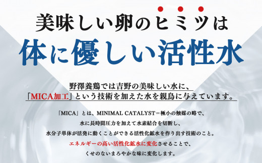 吉野こだわり卵　のざわ卵 32個入り (4コ入×4）×2箱