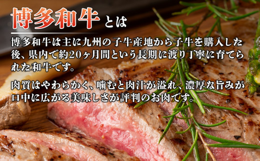 博多和牛サーロインステーキセット　500g（250g×2枚） お取り寄せグルメ お取り寄せ 福岡 お土産 九州 福岡土産 取り寄せ グルメ 福岡県