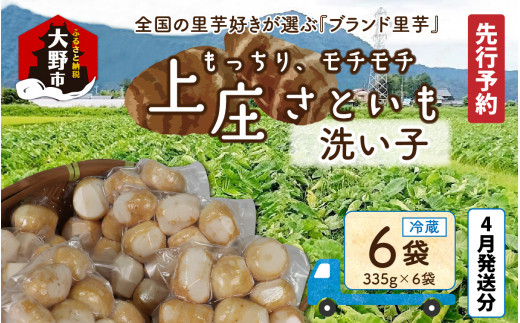 【先行予約】【4月発送分】満天☆上庄産さといもの「洗い子（335g×6袋）」 日本一の味をめざし、有機肥料配合、減農薬栽培の「独自栽培」で作る洗い子